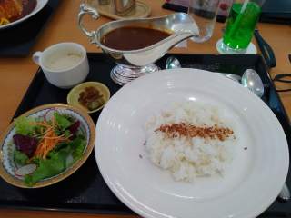 Japanese curry A very elaborate Japanese curry meal